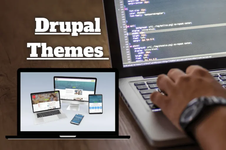 Drupal Themes