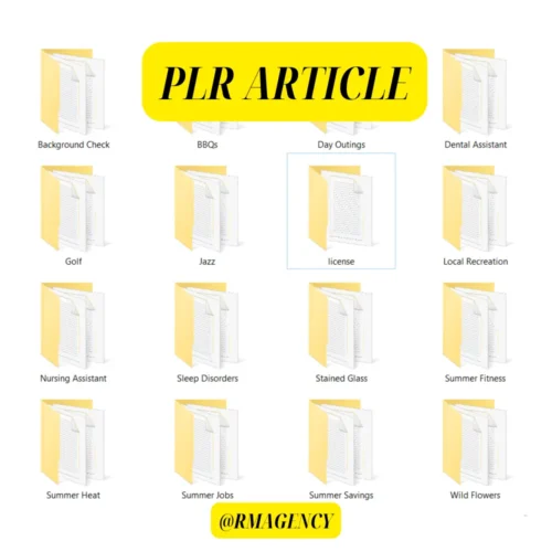 PLR ARTICLE file