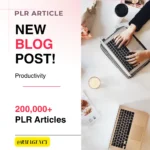 PLR Articles Bundles 2