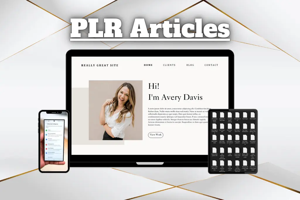 PLR Articles